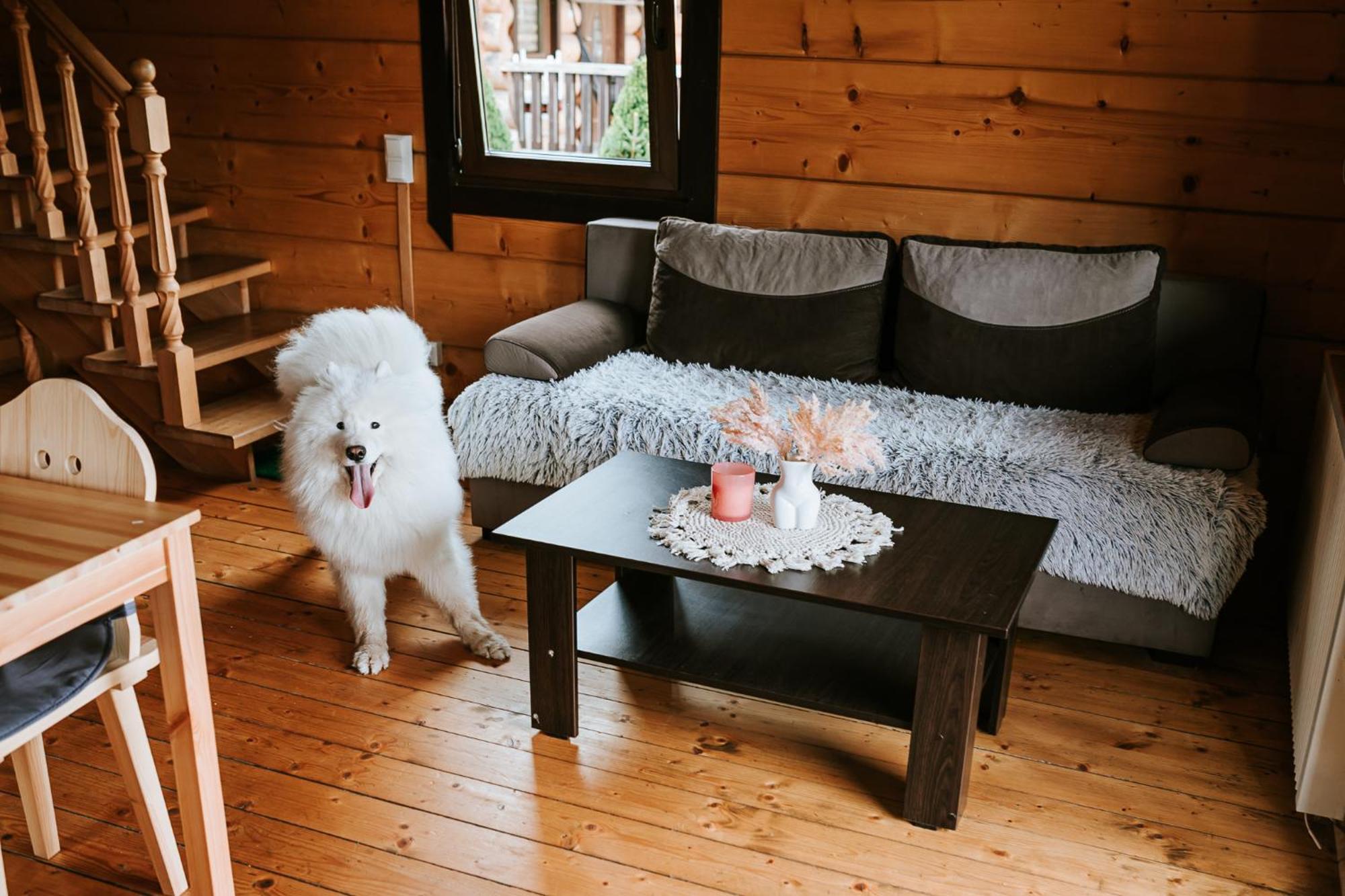 Domki,,Chatki Goralskie " Rabka Buitenkant foto