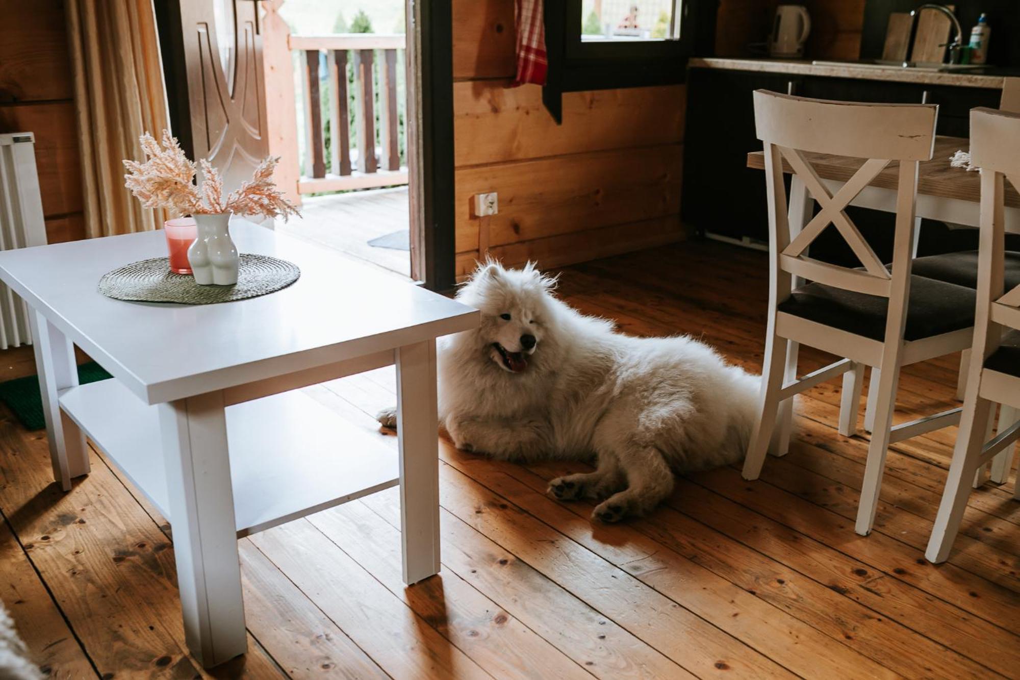 Domki,,Chatki Goralskie " Rabka Buitenkant foto